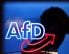 Logo stranke AfD na skupu u Halleu tijekom početka izborne kampanje 2025. godine.