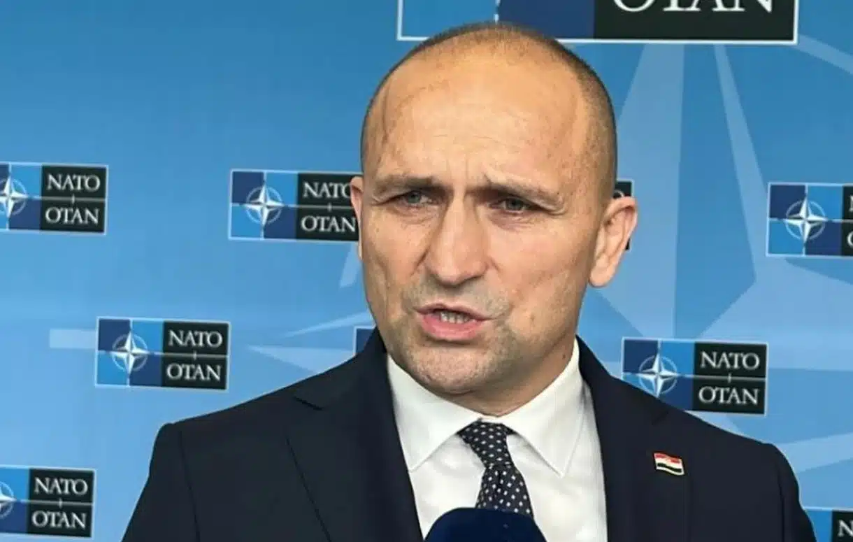 Anušić: Srbija se ekspresno, jako intenzivno naoružava