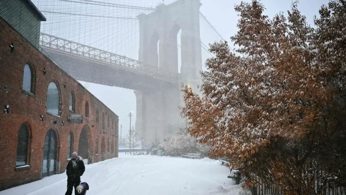 Osoba sa psom hoda u blizini Brooklynskog mosta dok snijeg pada u Brooklynu tijekom snažne zimske oluje u New Yorku.