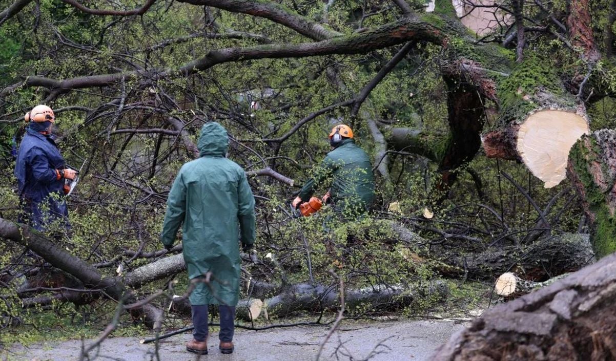 Olujni vjetar stvara kaos u Zagorju, više od 100 intervencija