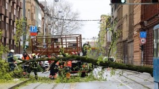 Uklanjanje srušenih stabala u Zagrebu nakon nevremena 27. ožujka 2026.