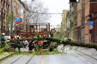 Uklanjanje srušenih stabala u Zagrebu nakon nevremena 27. ožujka 2026.